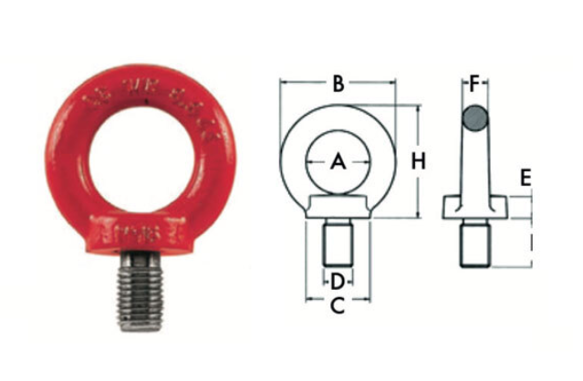 






Golfaro maschio 8.8



